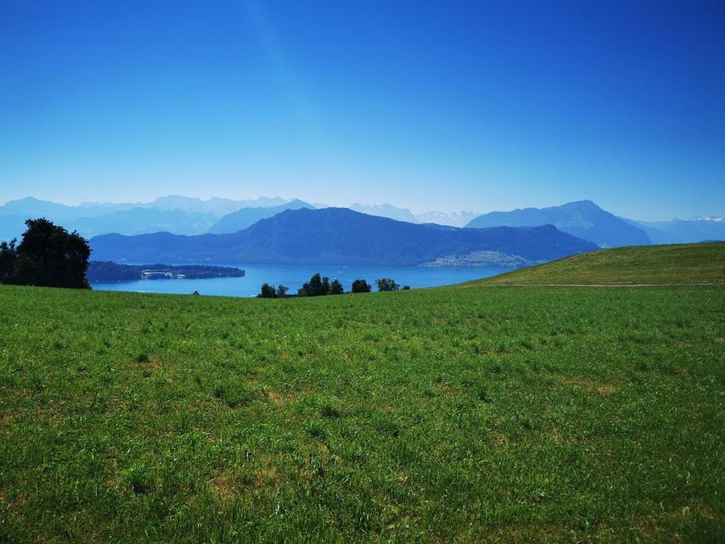 Marmottin Appartement Luzern Buitenkant foto
