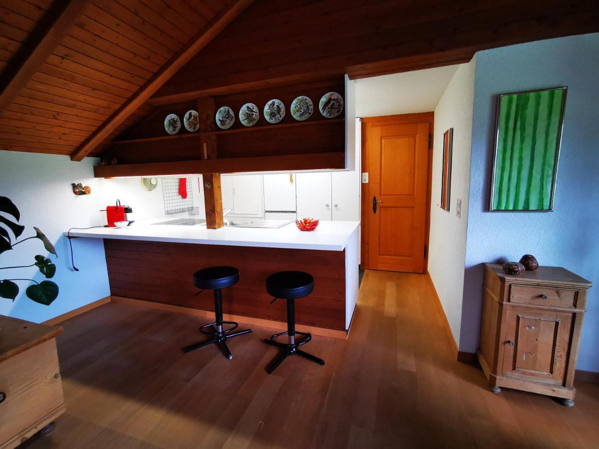 Marmottin Appartement Luzern Buitenkant foto